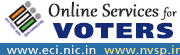 Online Service for Voters